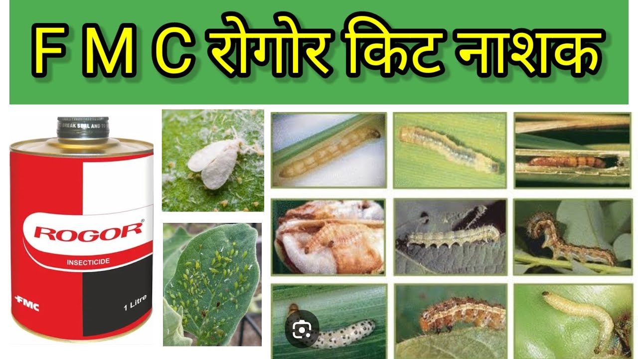 Rogor insecticide l top insecticide l fmc rogor insecticide #kisan #kheti #insecticide #insecticides