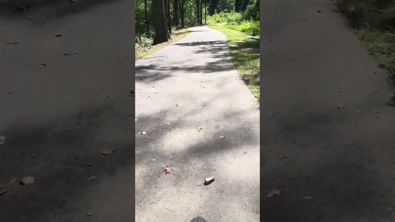 Shades Creek Lakeshore Drive walking/bike Trail. Homewood AL. 