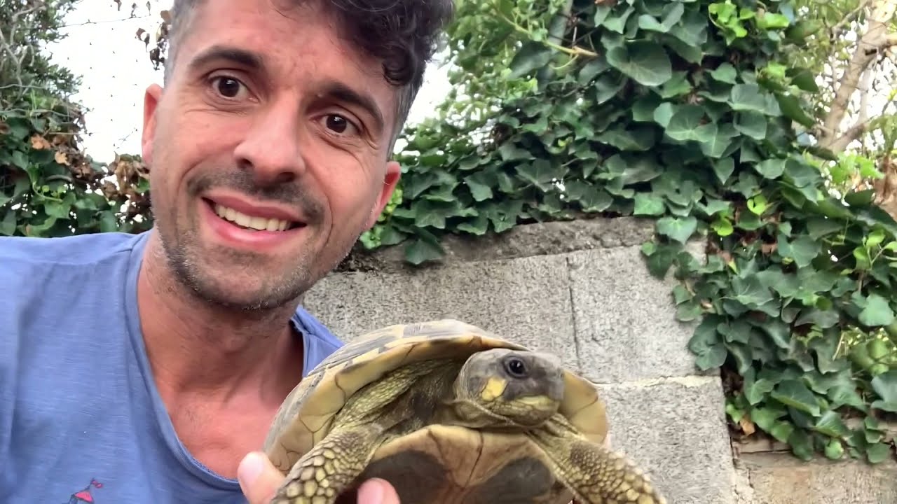 Guardate Quanto è Grossa La Mia Tartaruga