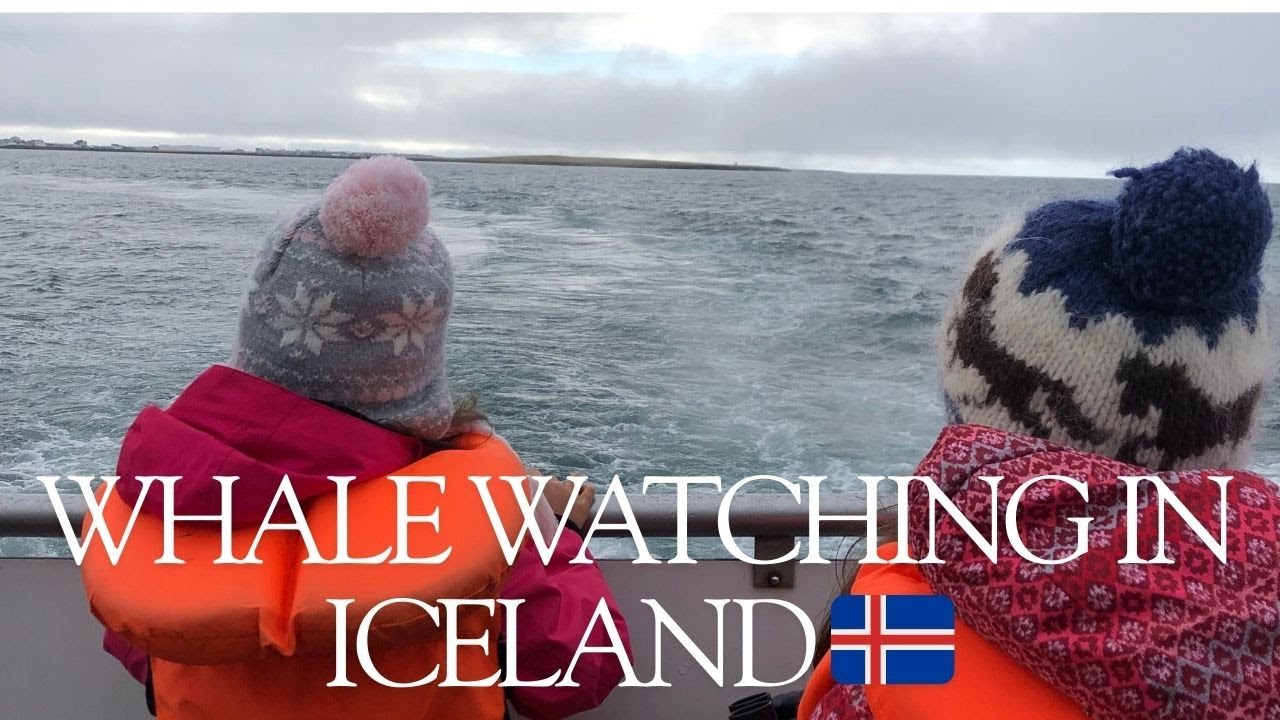 Whale Watching in Iceland 🇮🇸 | Minke & Humpback Whales at Sea