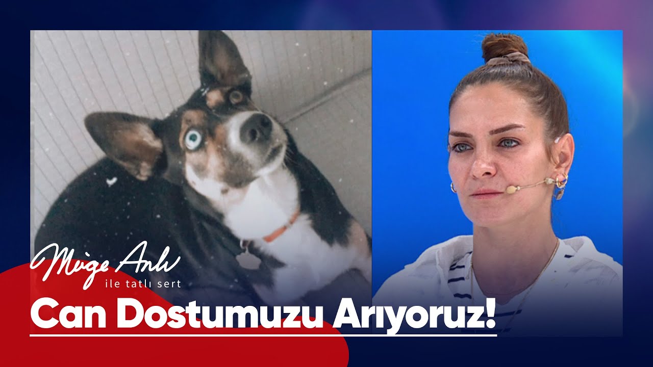 Bağcılar'dan kaybolan 7 yaşındaki Daisy nerede? - Müge Anlı ile Tatlı Sert 24 Eylül 2024