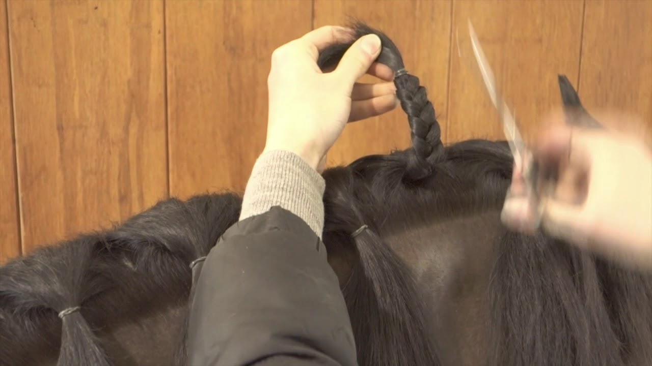 How to plait a horses made using english braids