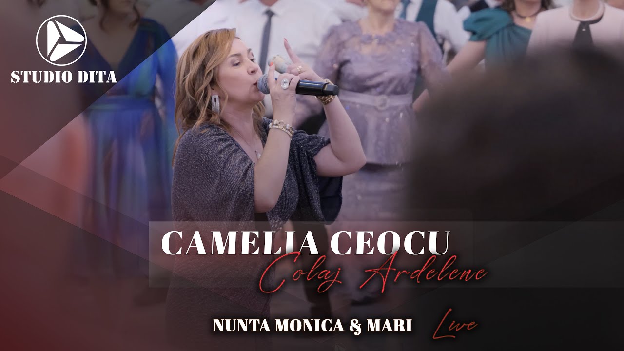 Camelia Ceocu 🎷 Colaj Ardelene LIVE ❌ Nunta Monica & Mari