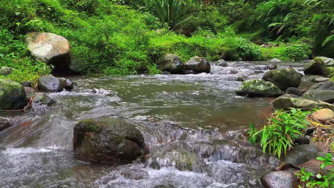 Serene River ASMR – 10 Hours of Relaxing Water for Focus & Stress Relief