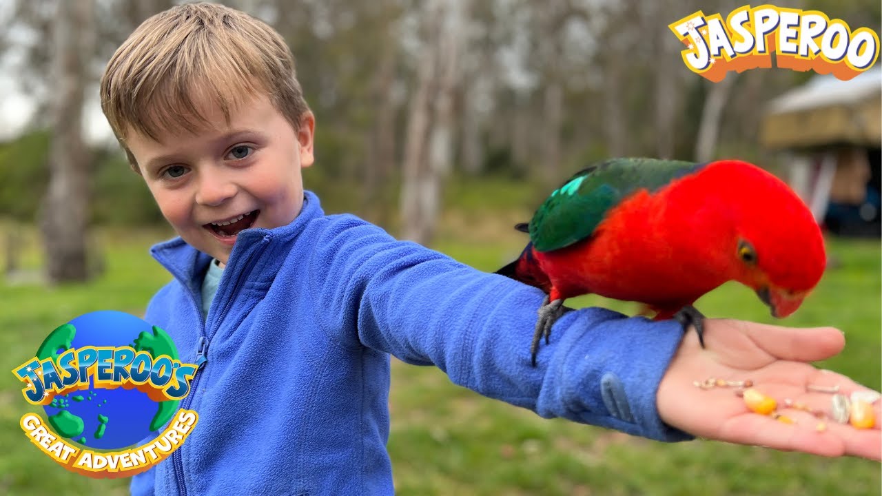 DOWN UNDER AUSTRALIA | THE LAND OF THE PARROT