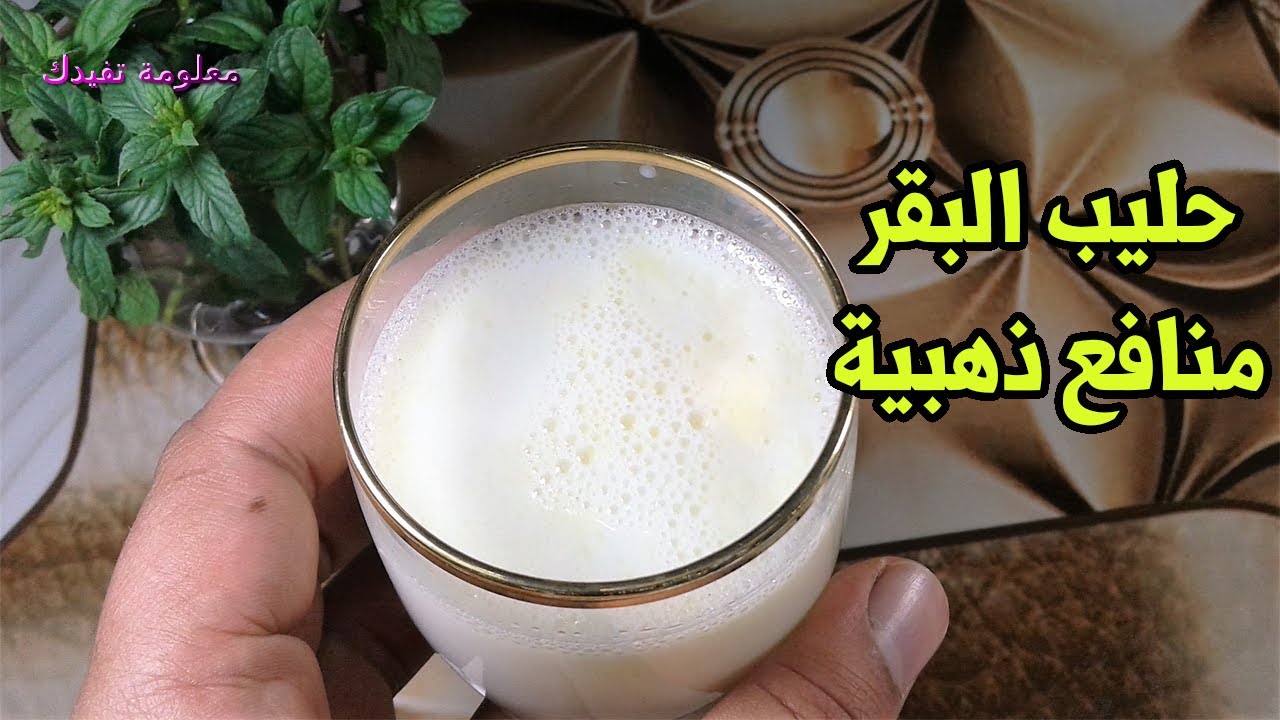 حليب البقر لو علمت كل هذه الفوائد لتناولت حليب البقر يوميا للعظام ؟