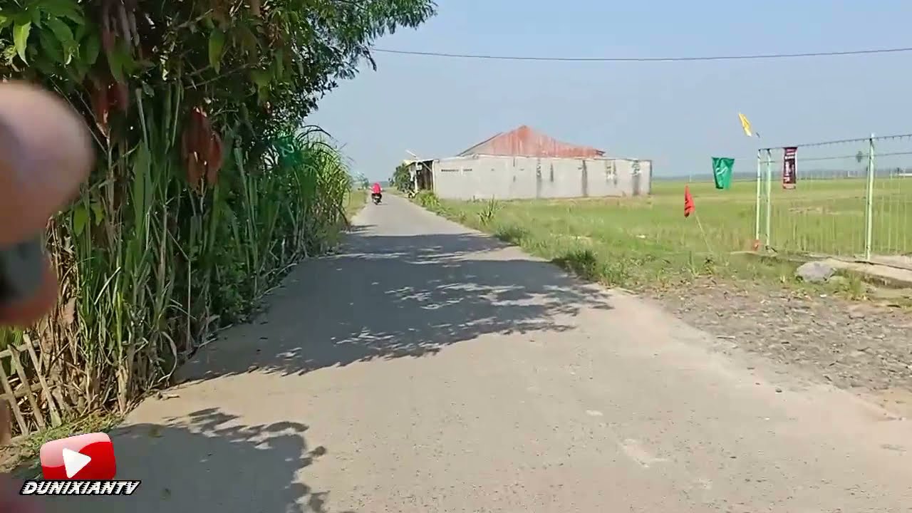 Jalan Raya Pasar Pagelaran - Patia - Perdana Kab.Pandeglang