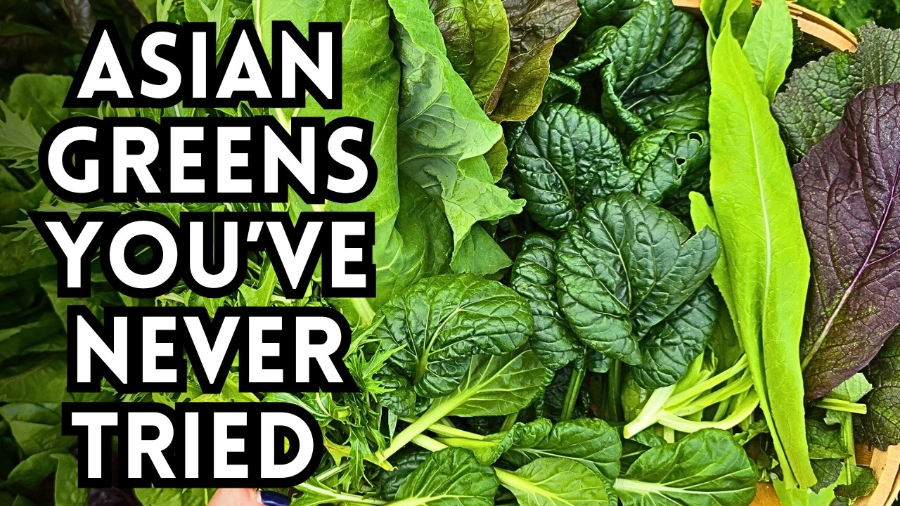 Asian Greens You&rsquo;ve Never Heard Of But Should Totally Grow! Review Of Asian Greens & Vegetables