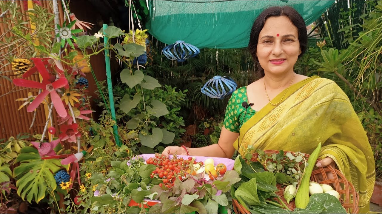 Harvesting organic vegetables from terrace garden | Rashmi's World - Create to Decorate |