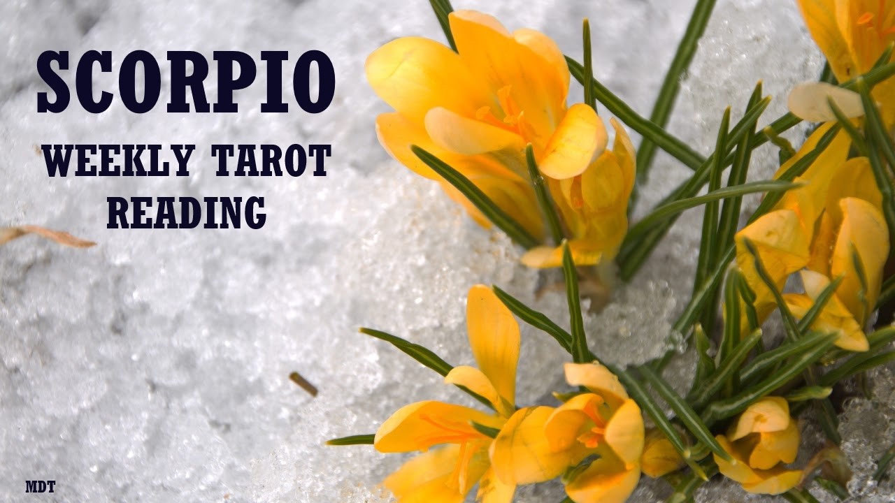 Scorpio Weekly Tarot Reading ~ BEING CALLED TO TAKE CENTER STAGE...  NEW OPPORTUNITY!