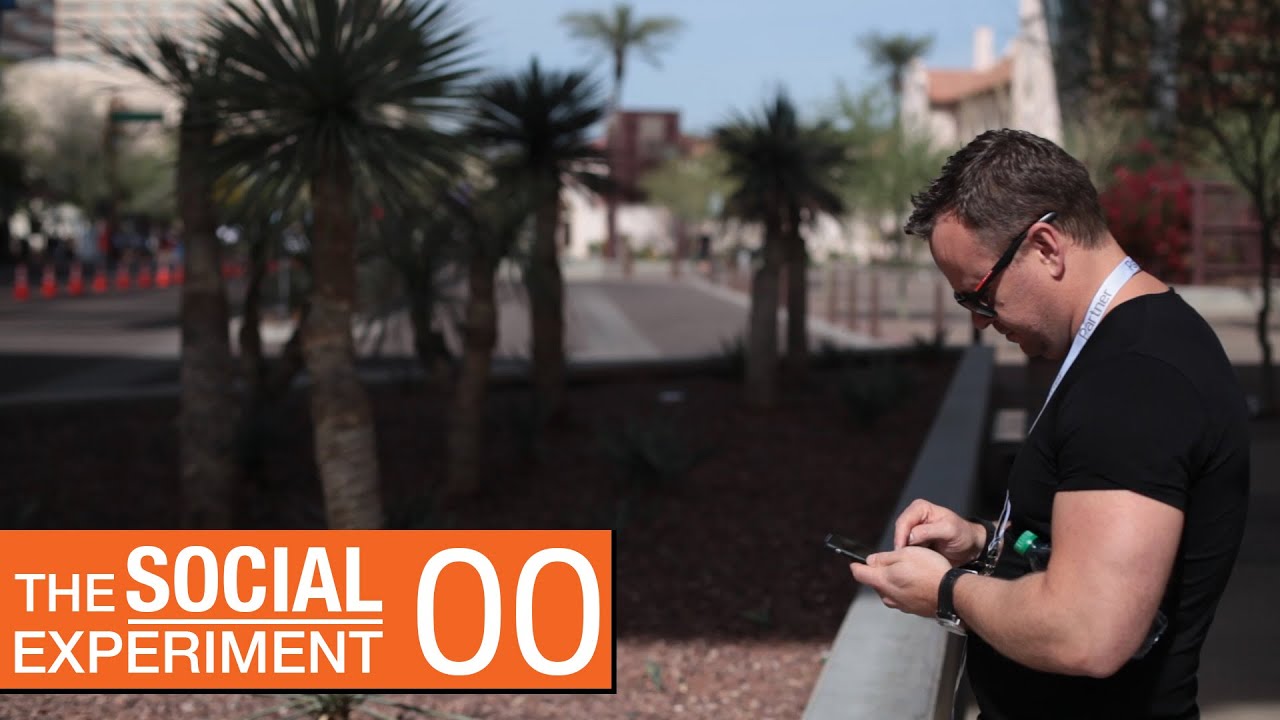 THE SOCIAL EXPERIMENT | The Social Experiment 00