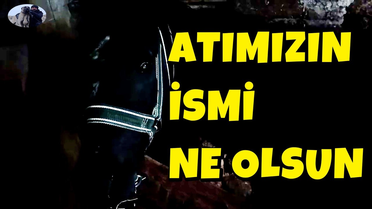 YENİ ALDIĞIMIZ ATIMIZIN İSMİ NE OLSUN