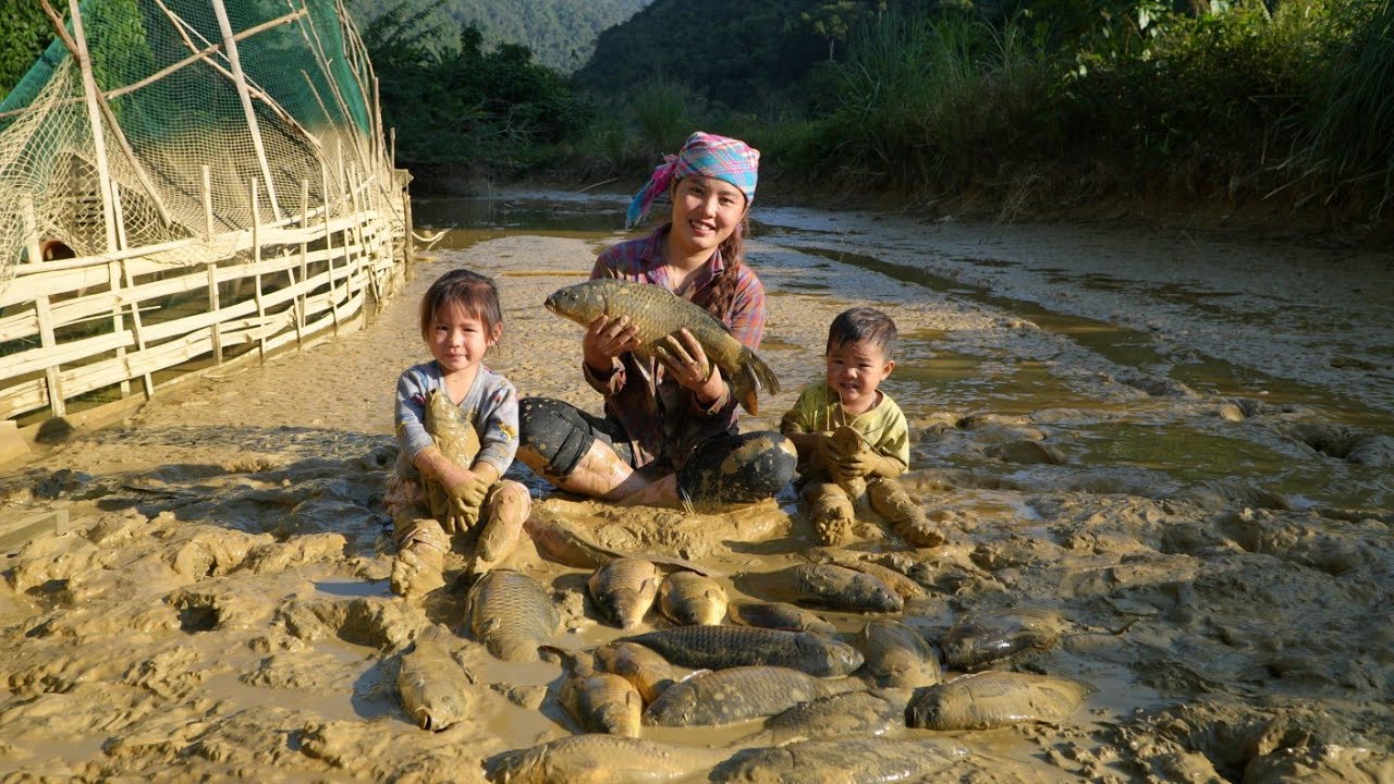 Harvesting the giant fish pond with my little son to bring to the market to sell