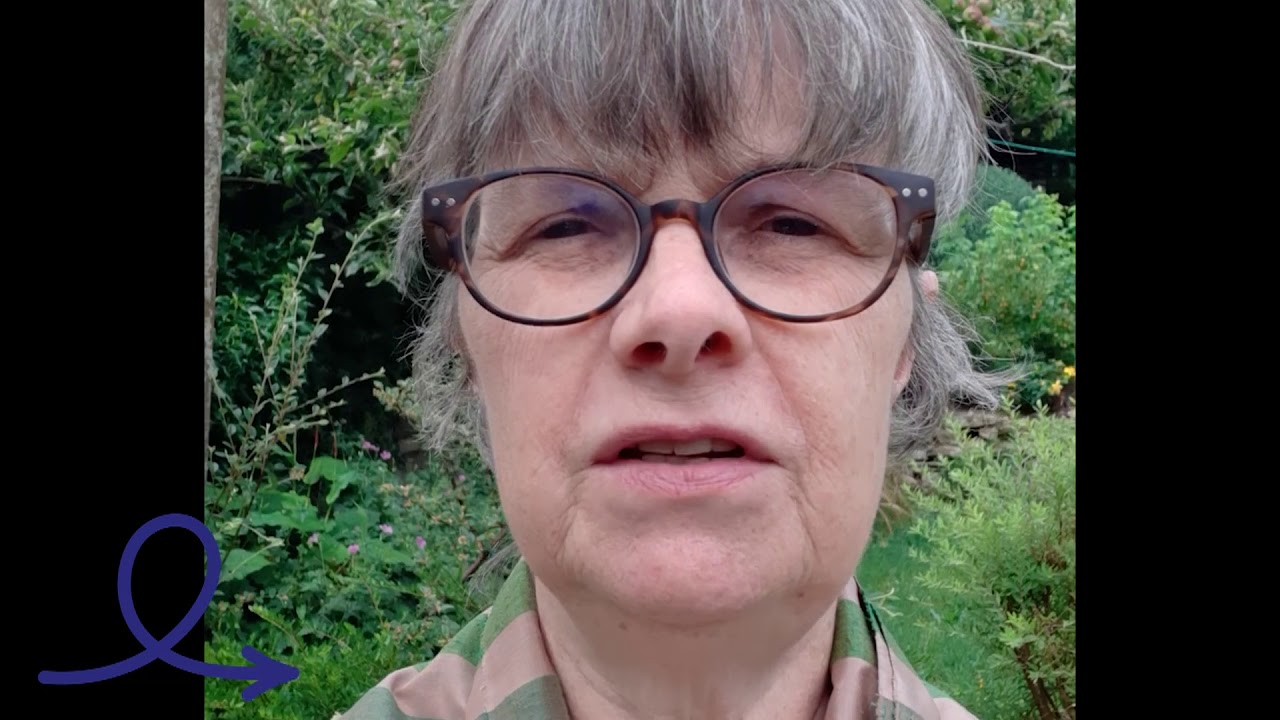 Lessons from Lockdown: Prof Molly Scott Cato