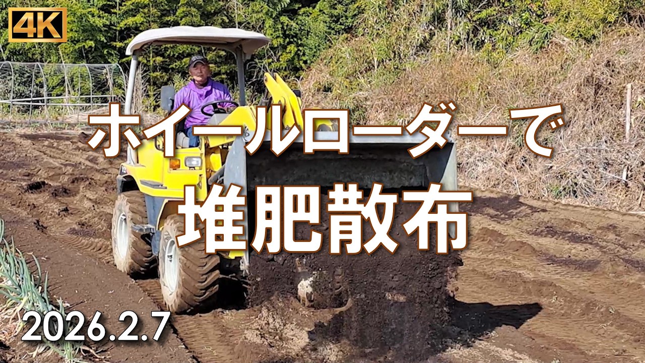 ホイールローダーで堆肥散布　バケット使ってふりふり  2026.2.7