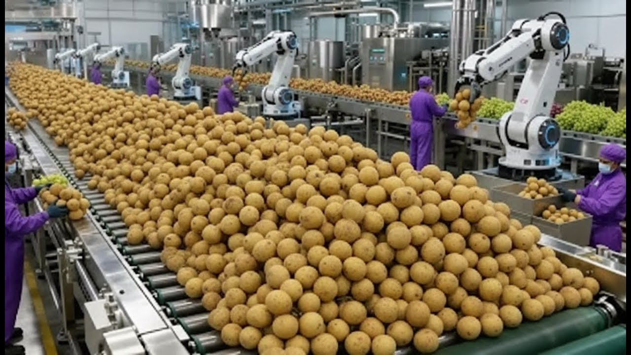 This Fruit Becomes an Insanely Expensive Alcohol Inside a High-Tech Factory