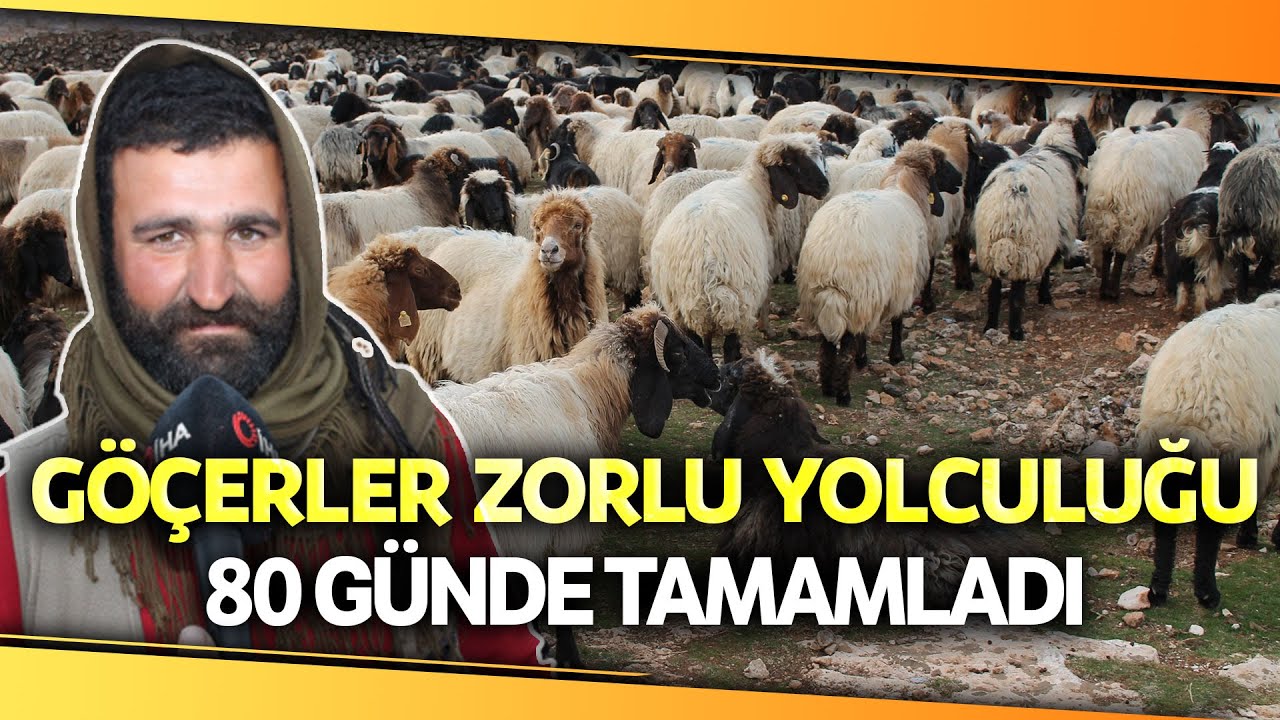 Göçerler, 400 Kilometrelik Zorlu Yolculuğu 80 Günde Tamamladı