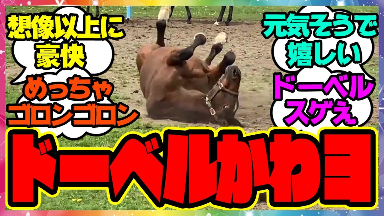 『砂があると寝ずにはいられないドーベル』に対するみんなの反応🐎まとめ【ウマ娘プリティーダービー】【レイミン】メジロドーベル