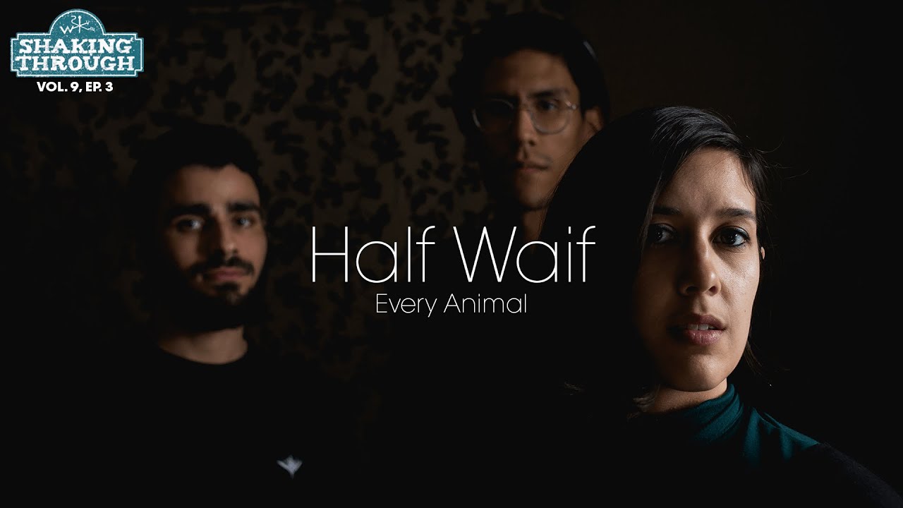 Half Waif - 'Every Animal' | Shaking Through (Music Video)