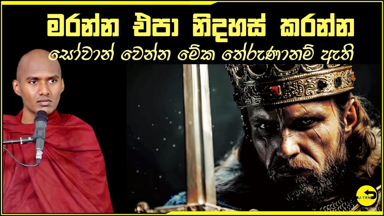 මරන්න එපා ! නිදහස් කරන්න ~ 🩸🌼⛵ | නිවන පිණිස බුදු බණ  | අකම්පිත - akampitha