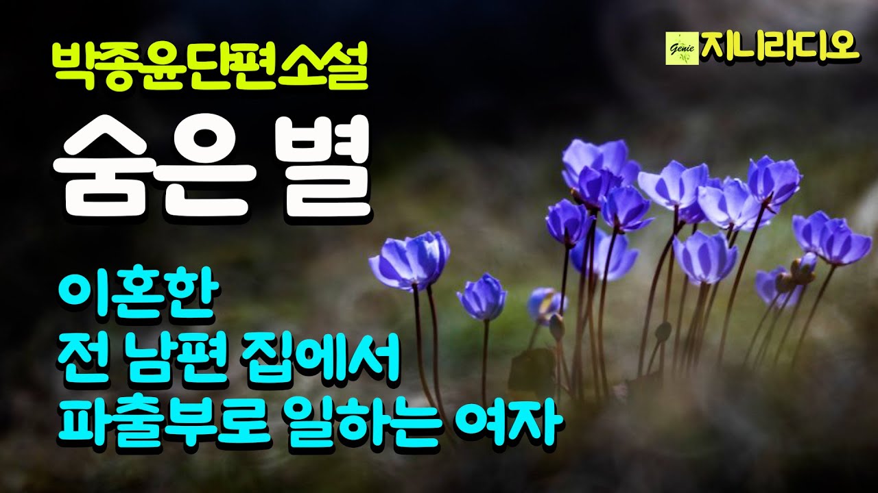 박종윤 '숨은 별'/ 이혼한 전 남편 집에서 파출부로 일하는 전처, 본인이 원해서 한 일이라는데 알고보니 사연이 기막힙니다. / 책읽어주는여자/ 지니라디오/ 오디오북