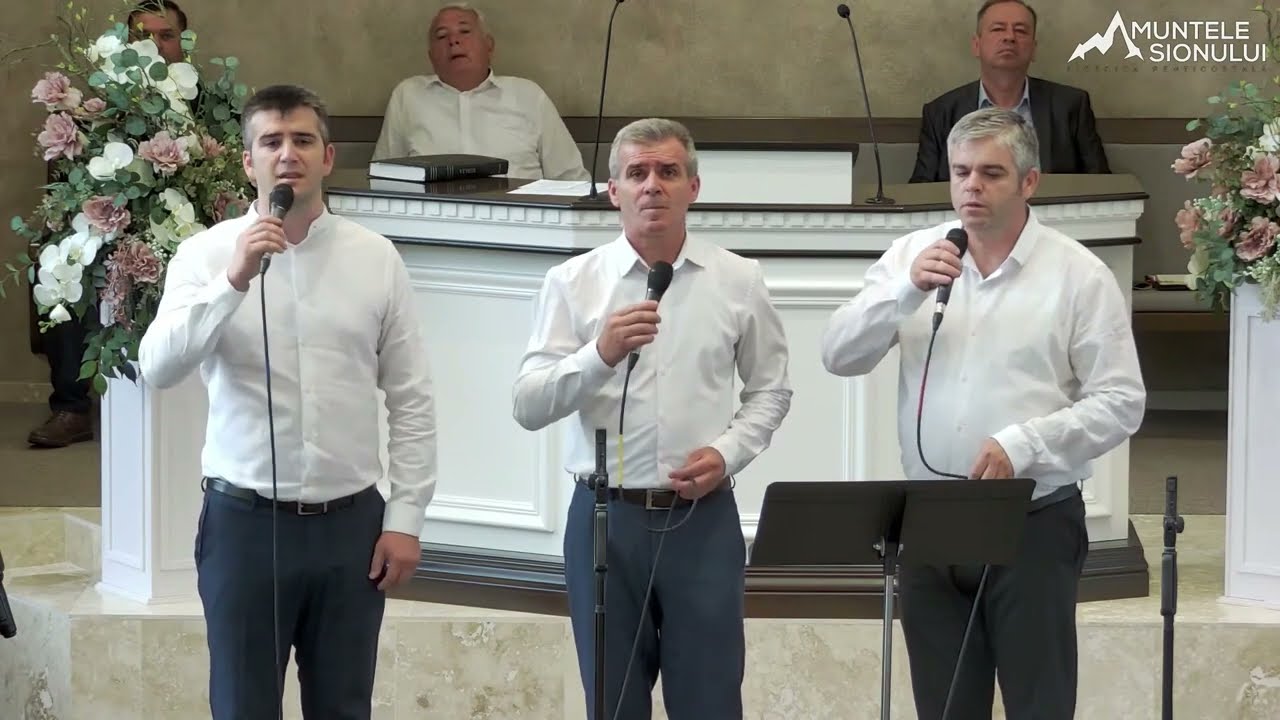 Dă-ne înțelepciune - Frații JUCU