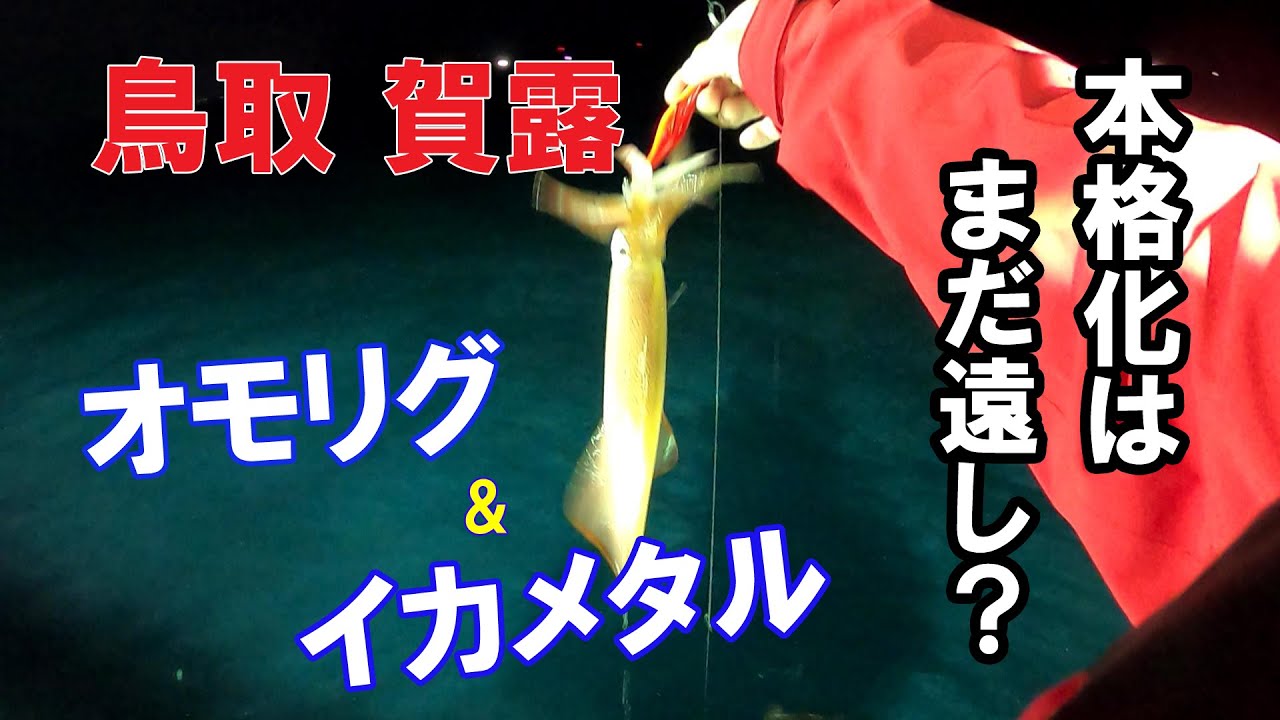 【オモリグ・イカメタル】本格化にはまだ遠し？？鳥取沖の白イカ釣り