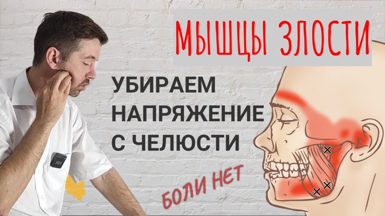 Жевательная мускулатура. Прорабатываем мышцы, убираем боль в челюстном суставе, голове.