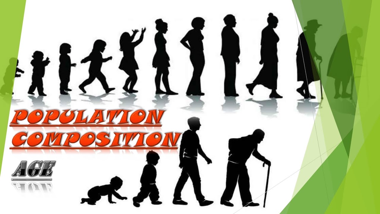Age Composition of Population | Population Studies