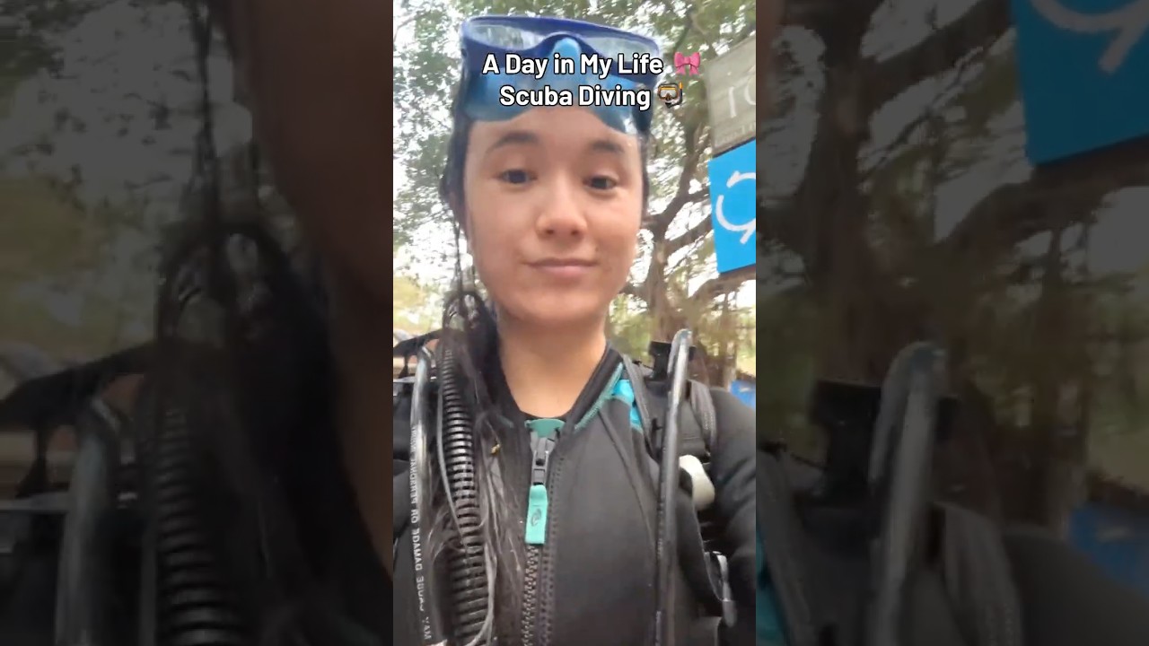 День 6/100 | Один день из моей жизни | Дайвинг 🤿 | Челлендж «100 дней» 
