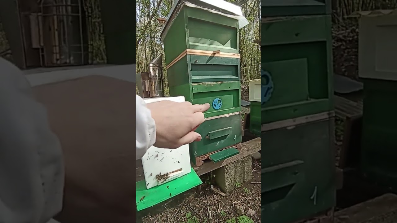 ZwischenBoden Test Teil 2