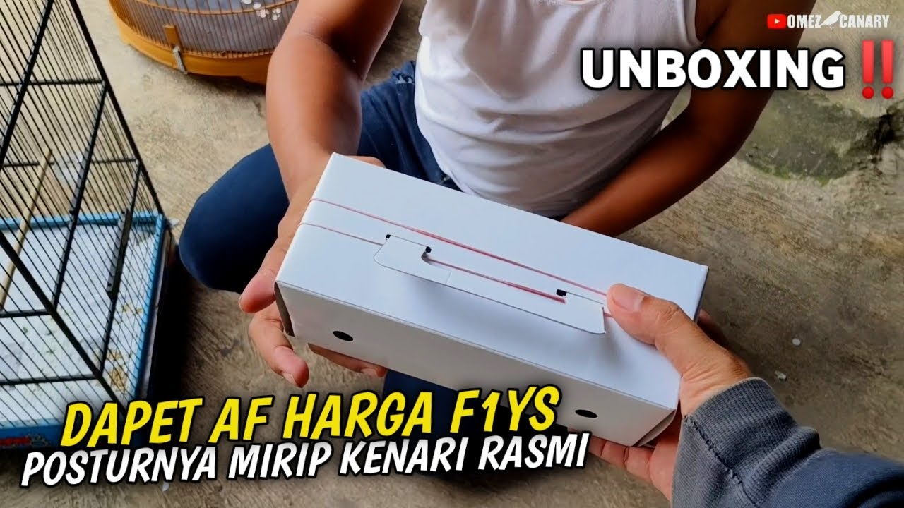 UNBOXING‼️DAPET KENARI AF WARNANYA CAKEP KAYAK RASMI HARGANYA KAYAK F1YS