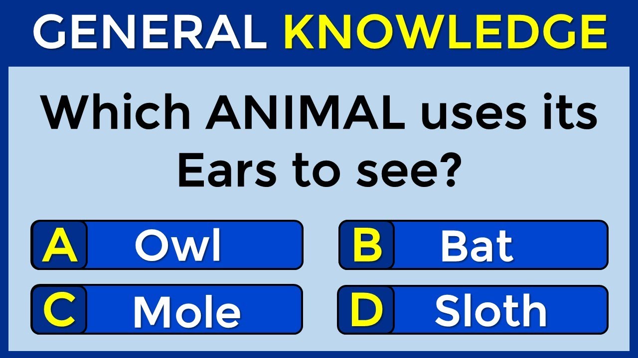 Are You Good At General Knowledge? | Take This 35-Question Quiz To Find Out! #challenge 143
