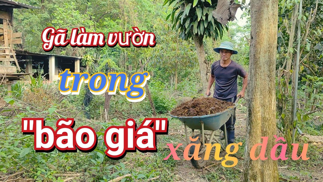 Nông Dân Bị Tác Động Như Thế Nào Khi Giá Xăng Dầu Tăng Cao?