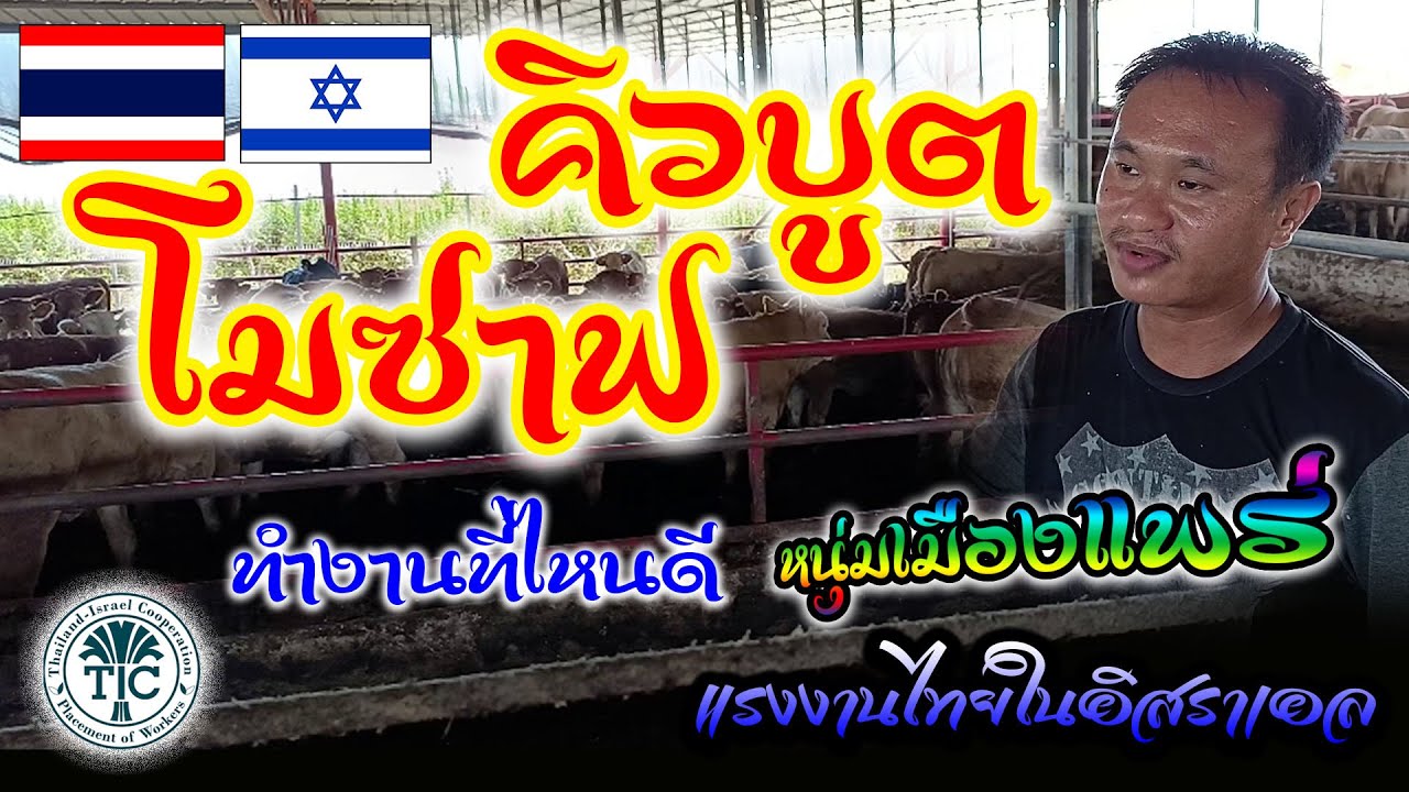 คิวบูทกับโมซาฟ ทำงานที่ไหนดี