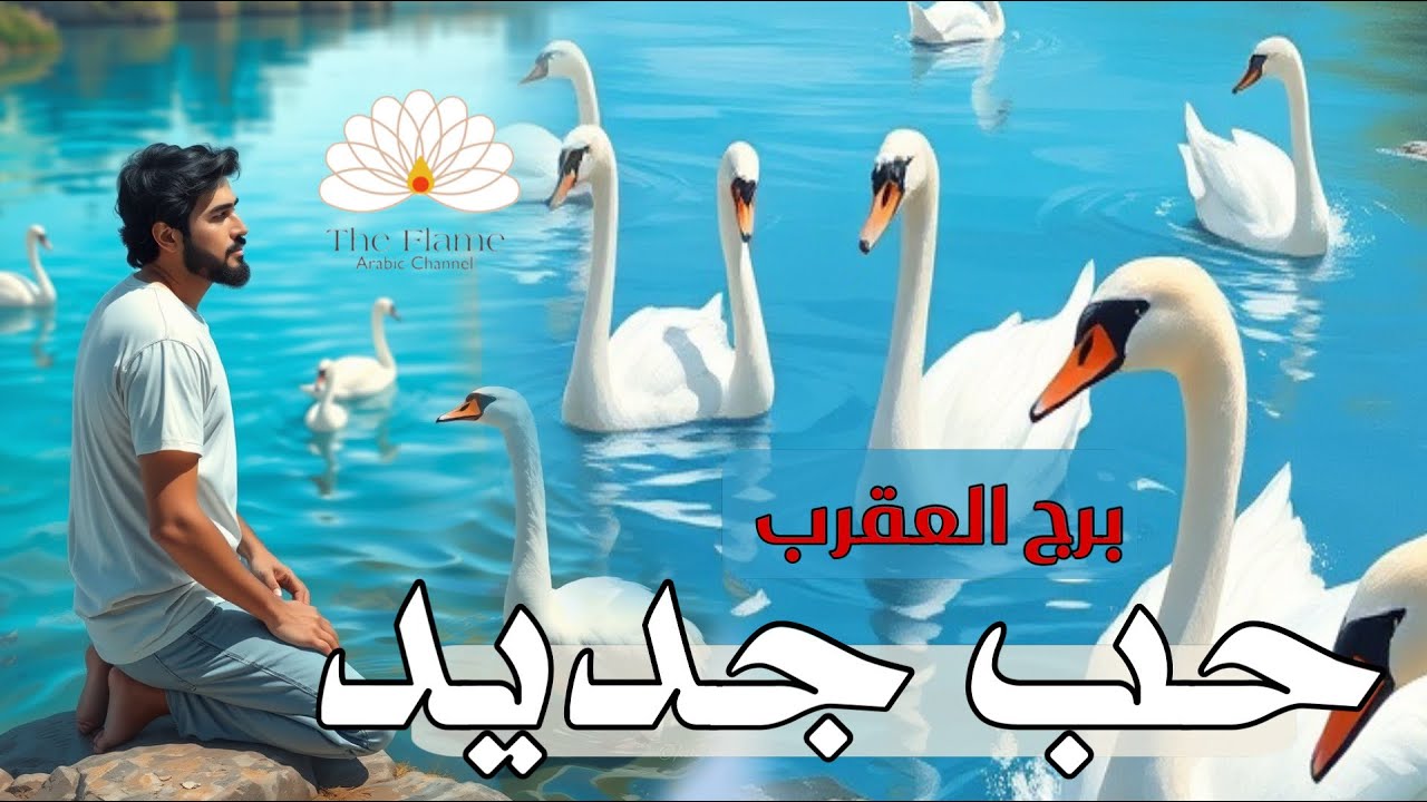 برج العقرب ؛ حياتك العاطفية هل ستتغير للأحسن؟ طاقة مفتوحة