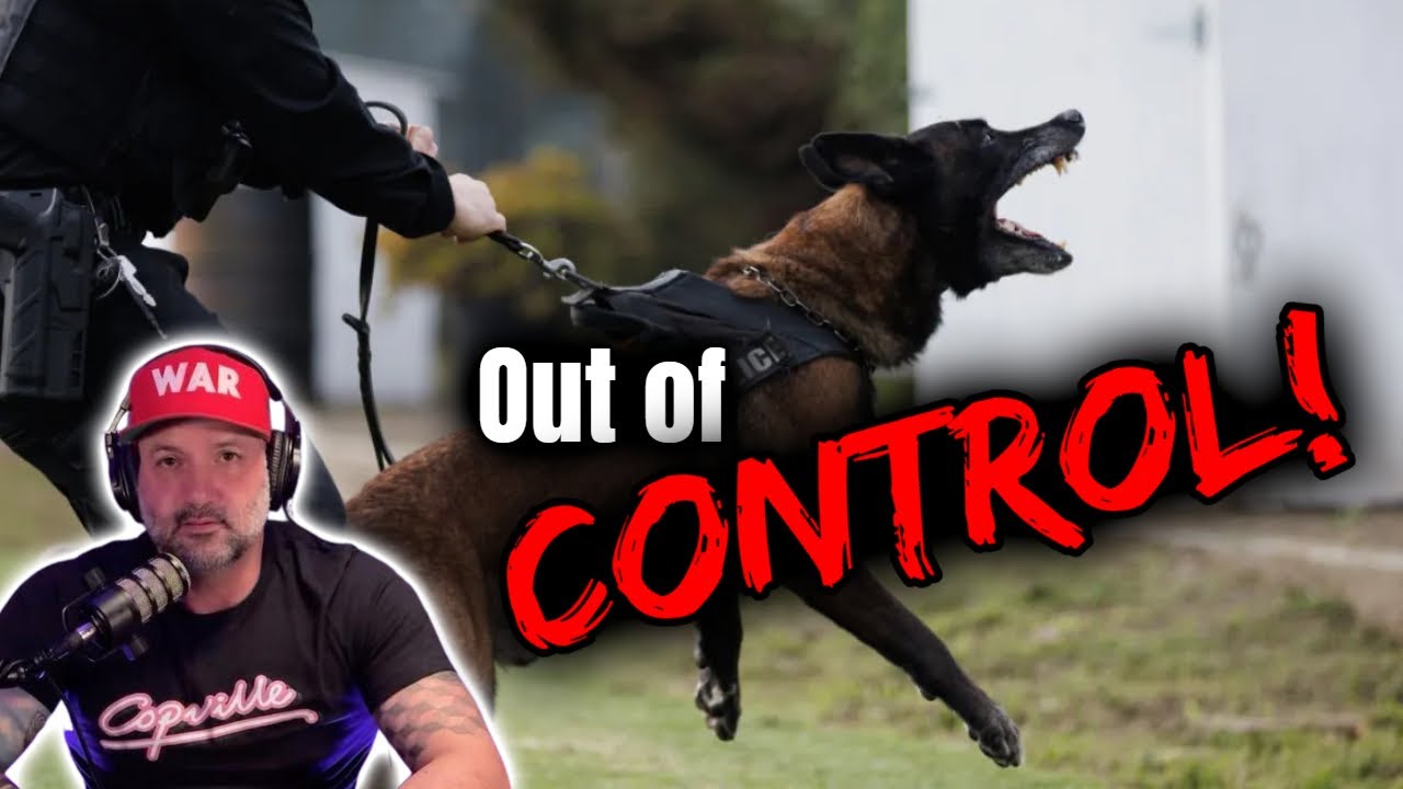 Cops Gone Wild: Two Former Officers Break Down the Toxic Culture Destroying Law Enforcement
