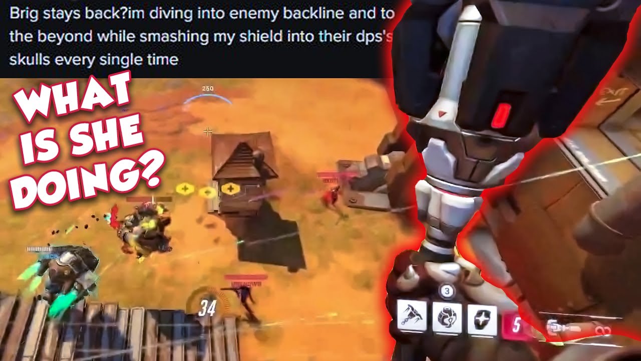 I FOUND A 9000IQ TIKTOK BRIG