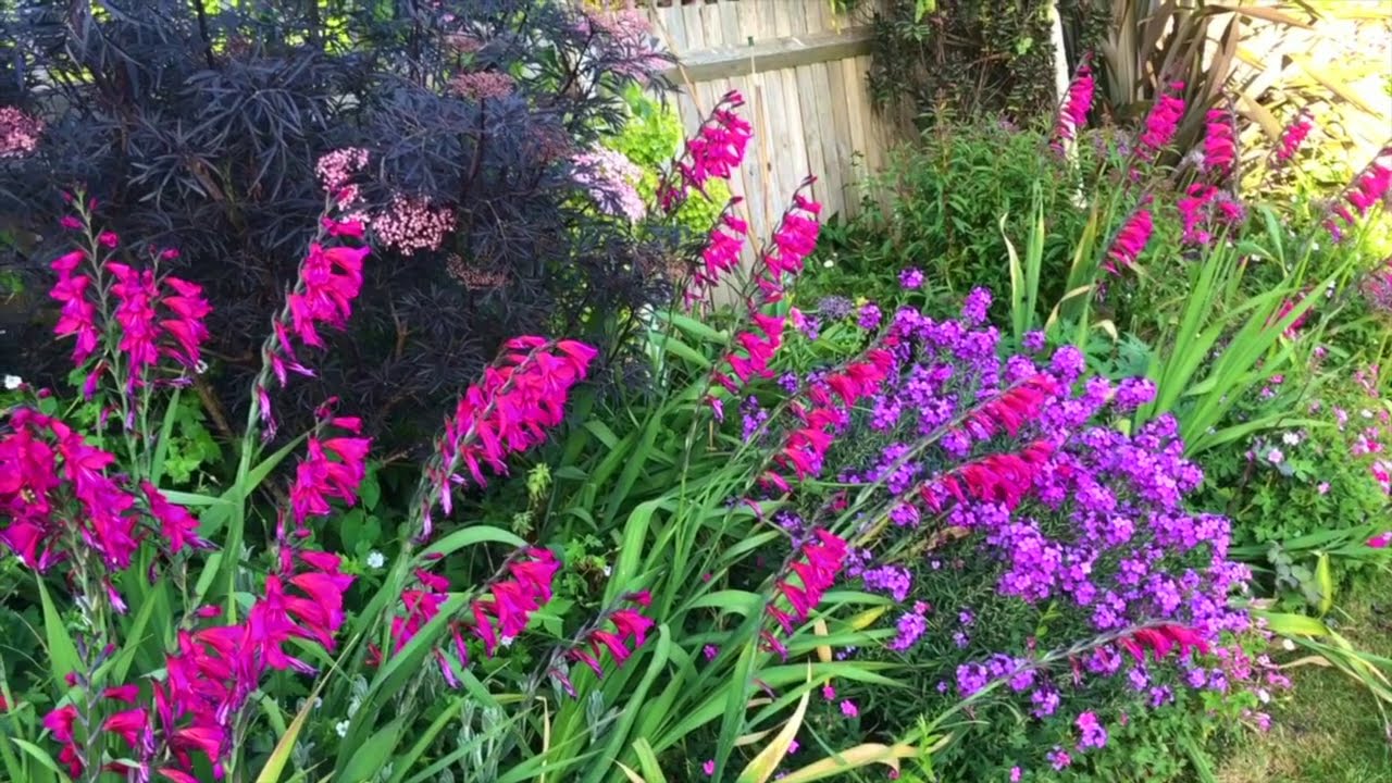 National Garden Scheme Garden