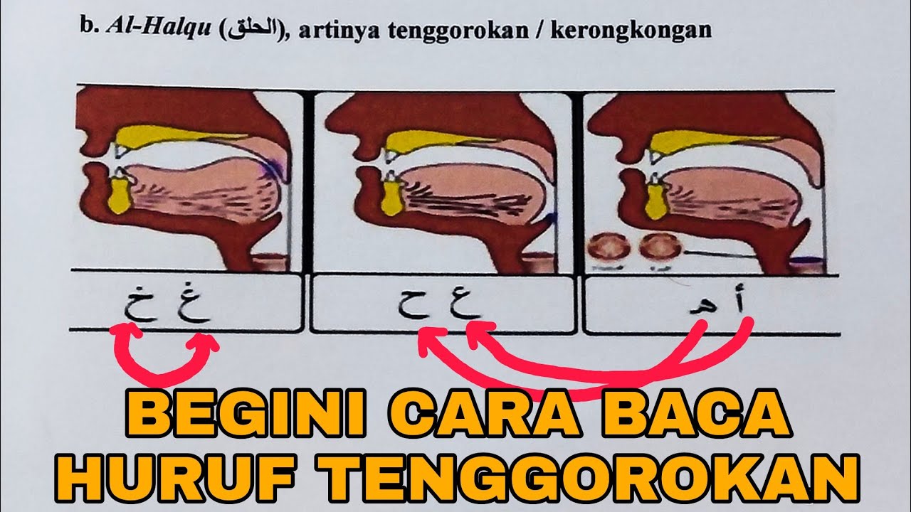 begini cara membaca huruf tenggorokan yang benar