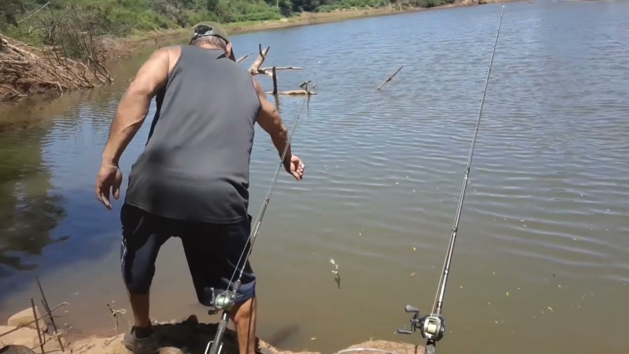Achei que não ia dar peixes mas até que rendeu 
