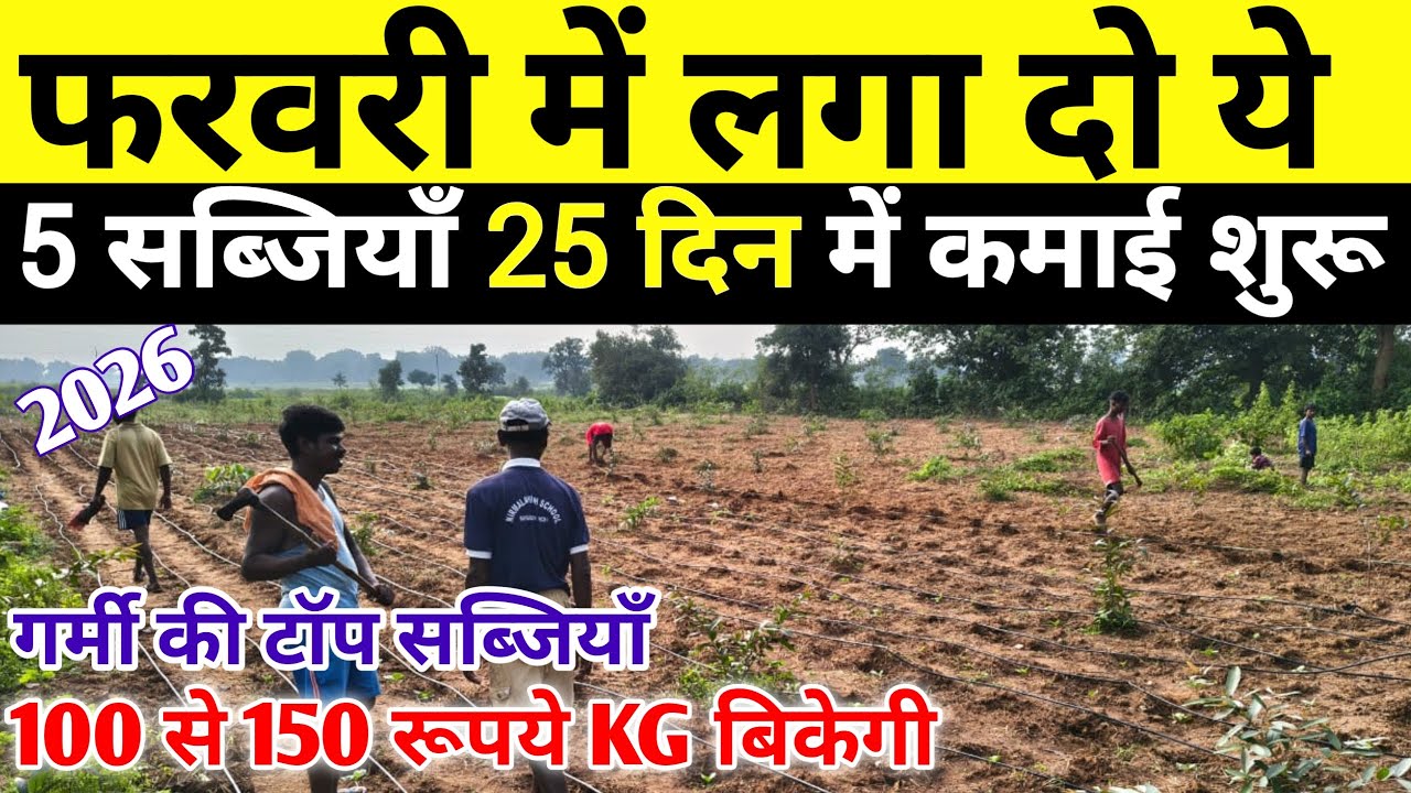 February me lagaye ye 5 sabji | Garmi ki kheti |फरवरी-मार्च में कौन सी सब्जी लगाए | February farming