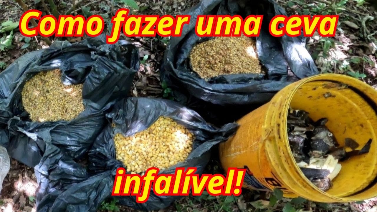 ✅Como fazer ceva para pescar carpa, tilápia, piau, curimba e outros peixes...