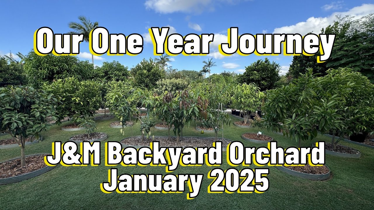 J&M Backyard Orchard  January 2025 - Our One Year Journey