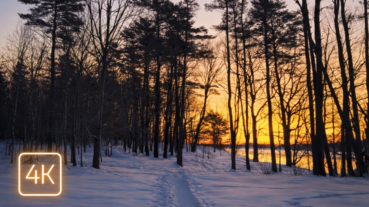 Fresh Snow & Golden Light | Maine Shoreline at Dawn