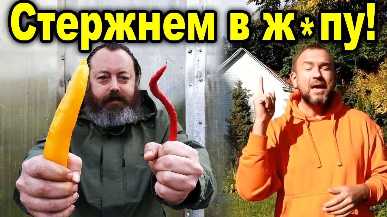 Переопыление Ивана Русских! Красным стержнем по Ивановой науке. Сладкий и острый перцы вместе!