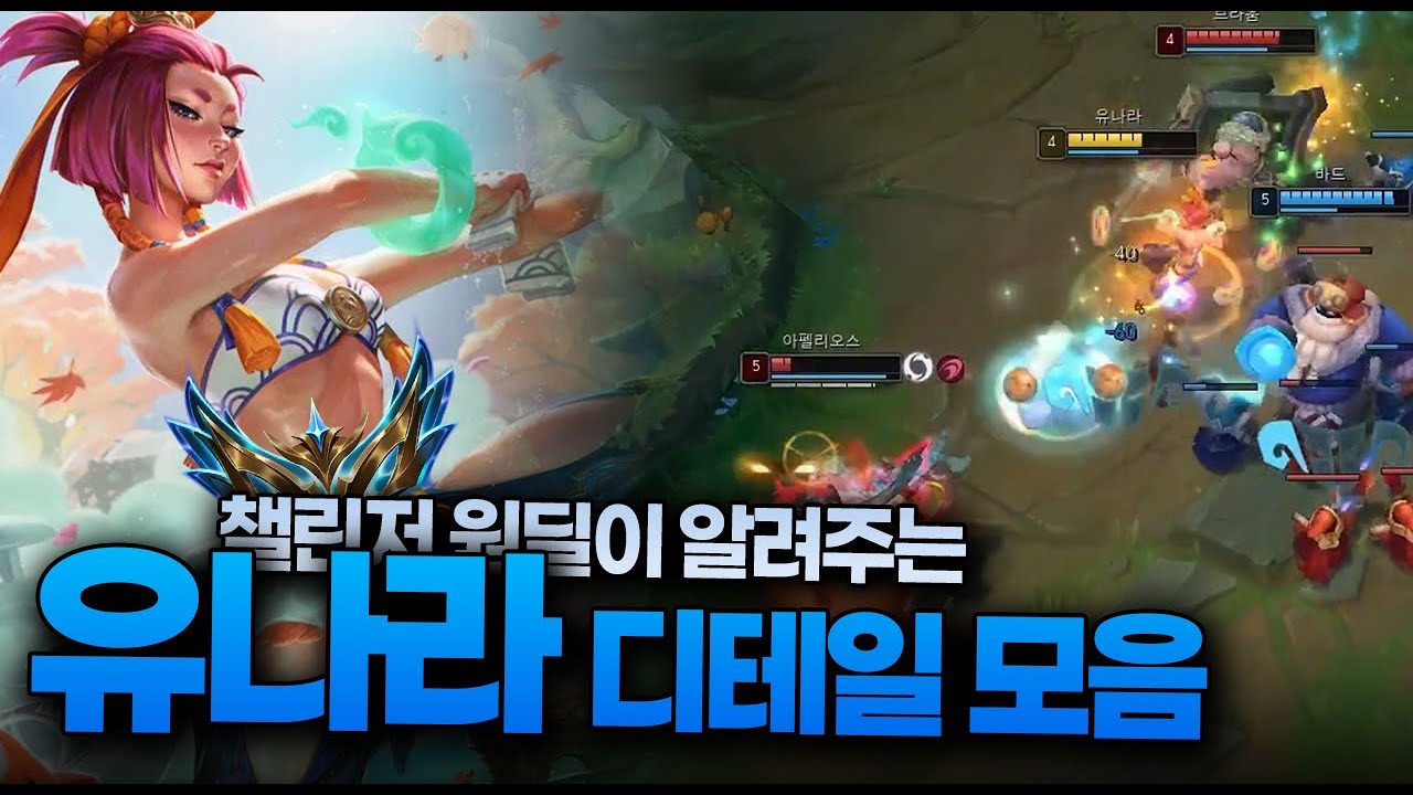 챌린저 원딜의 유나라 디테일 모음집