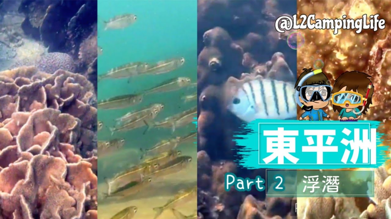 東平洲浮潛│ 獨木舟環島part2│海岸公園│石珊瑚海│亞媽灣│超靜水 @L2營男營女