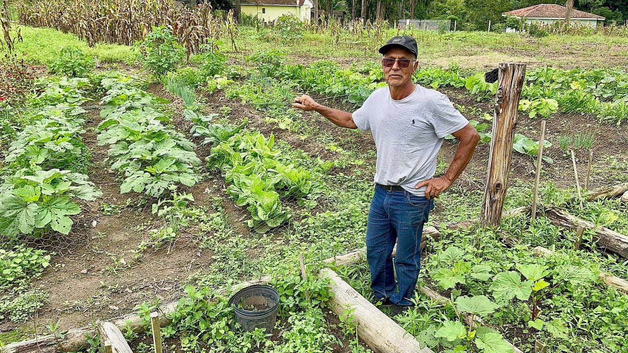 ￼ Ele se preparou para na velhice Morar em sua própria chácara e hoje Come o que planta e cria …