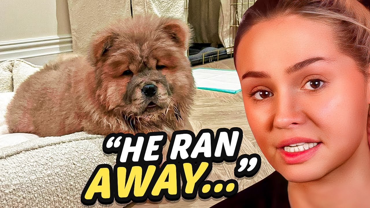 How Our First Week With Mushu Went...